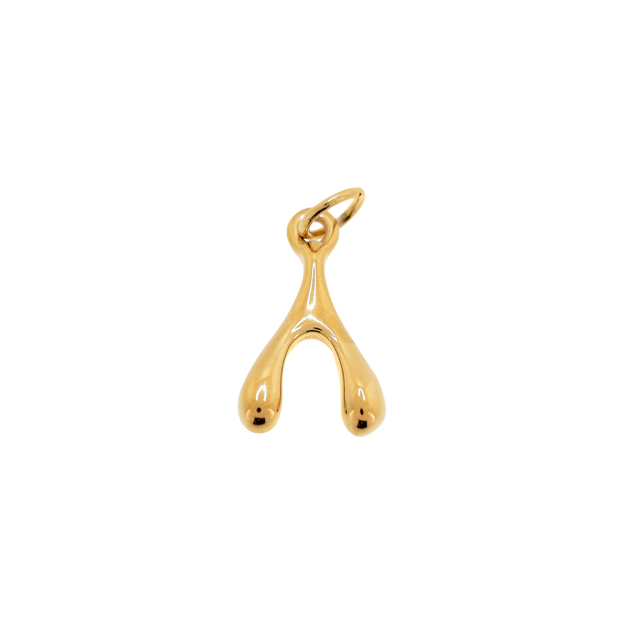 LUCKY BONE GOLD Charm